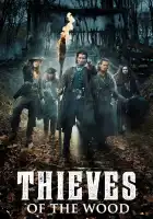  Фламандские разбойники смотреть онлайн сериал 1 сезон 